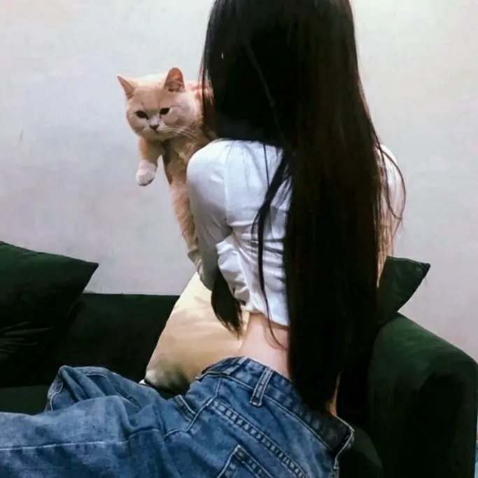 超级查理